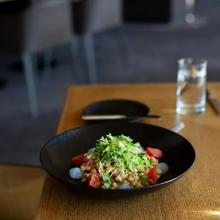 Hotel The Ritz-carlton, Wolfsburg