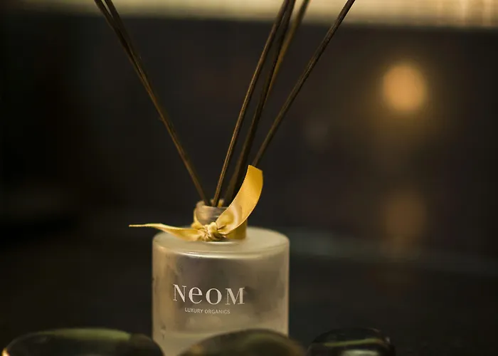 Hotel The Ritz-carlton,